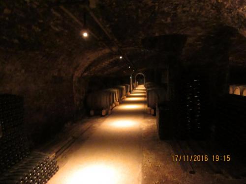 Божоле 2016 1643.JPG