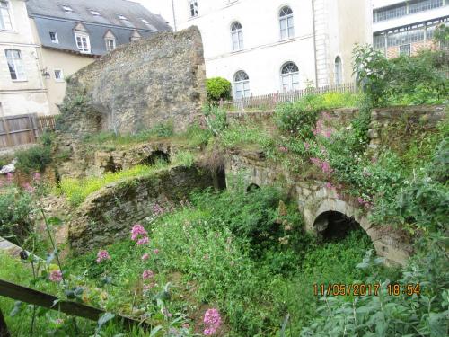 Нов. Ароматы 2 2762.JPG