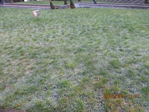 париж-2016-2017 2572.JPG