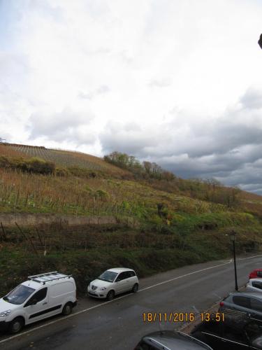 Божоле 2016 1760.JPG