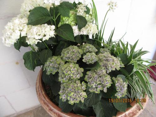 Великолепная Франция 2016 1332.JPG