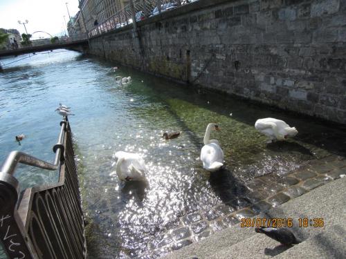 2GT 1 часть2016 034.JPG