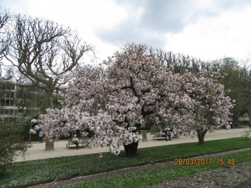 март, париж 1021.JPG