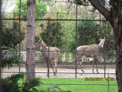 март, париж 990.JPG