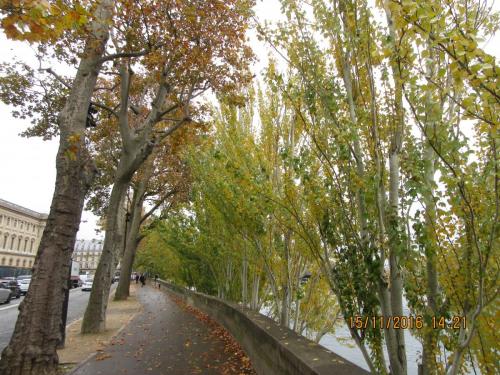 Божоле 2016 655.JPG