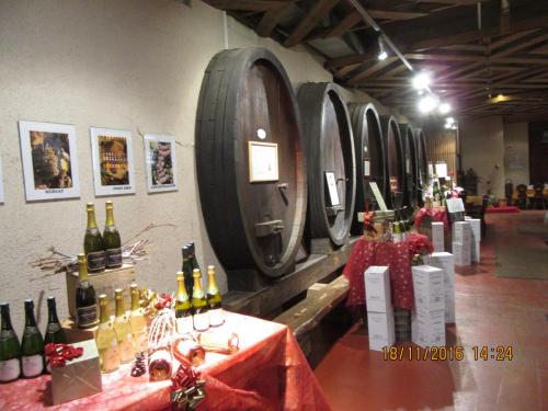 Божоле 2016 1826.JPG