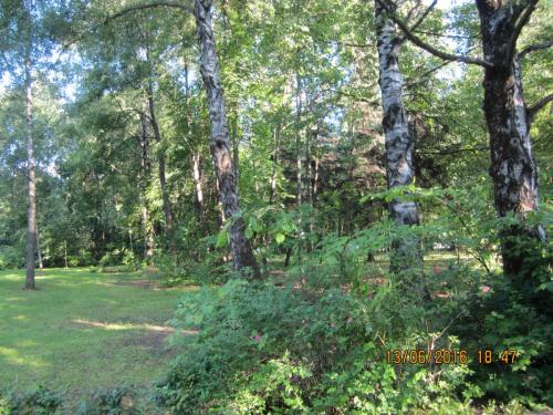 Фестиваль Чайковского 13 июня 021.JPG