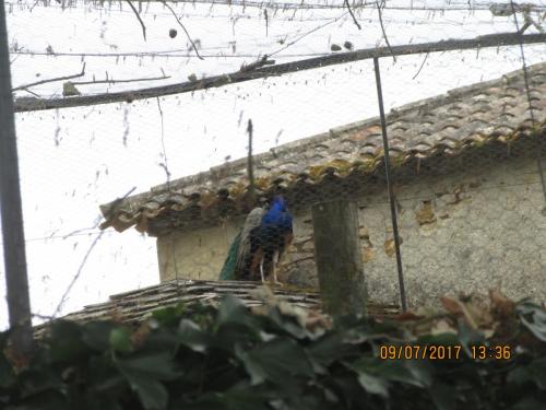 2 AS, 1 часть 1103.JPG