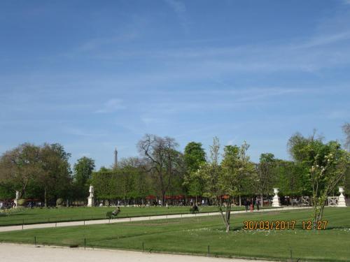 март, париж 1494.JPG