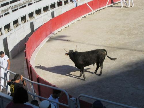 2 AS, 1 часть 2388.JPG