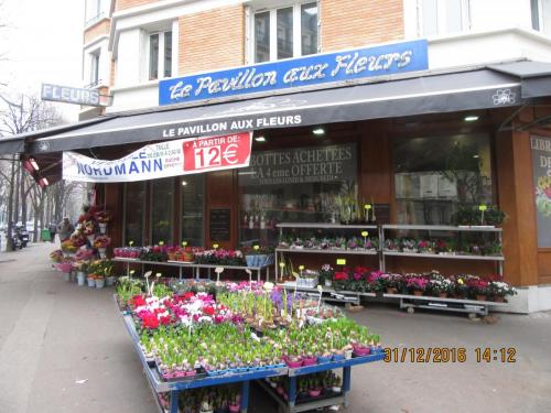 париж-2016-2017 921.JPG