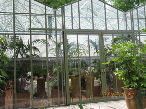 Ароматы 2 (2017) 1044.JPG