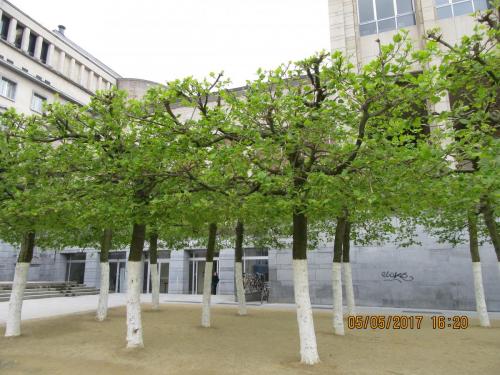 Нов. Ароматы 2 113.JPG