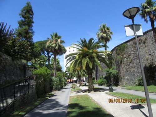 2GT 1 часть2016 2252.JPG