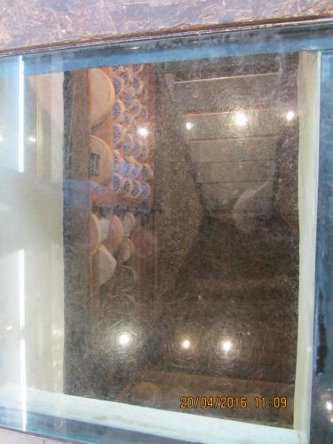 Ароматы, 11.04.2016 1880.JPG