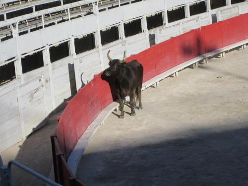 2 AS, 1 часть 2404.JPG