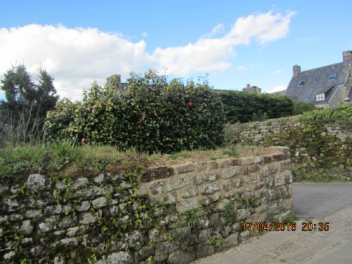 Ароматы, 11.04.2016 1163.JPG