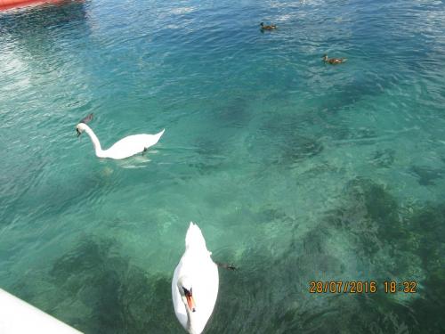 2GT 1 часть2016 026.JPG