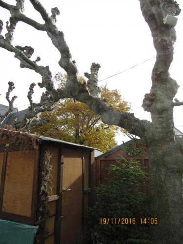 Божоле 2016 2224.JPG