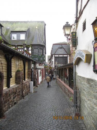 Божоле 2016 2187.JPG