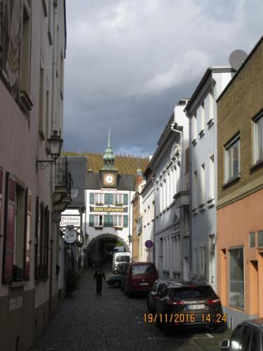 Божоле 2016 2268.JPG