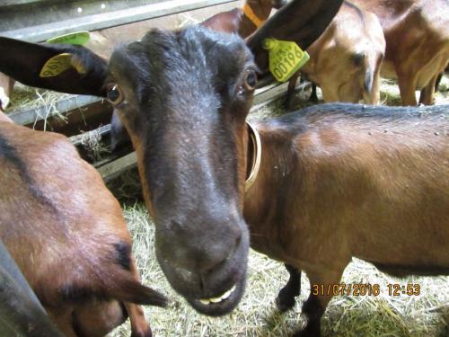 2GT 1 часть2016 707.JPG