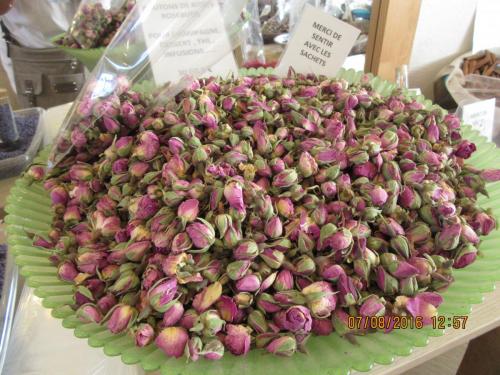 2GT 2016, 2 часть 250.JPG