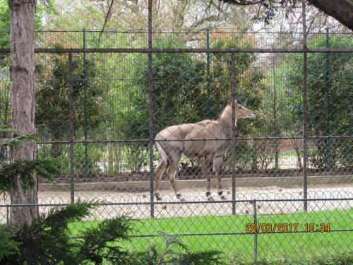 март, париж 991.JPG