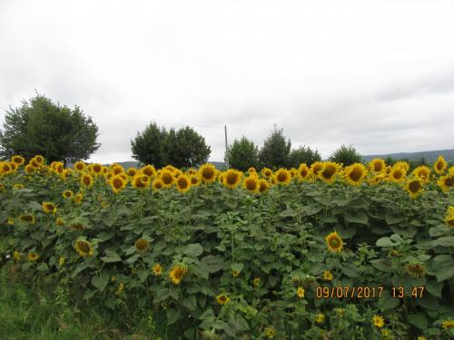 2 AS, 1 часть 1113.JPG