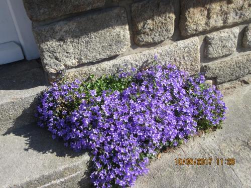 Нов. Ароматы 2 2057.JPG