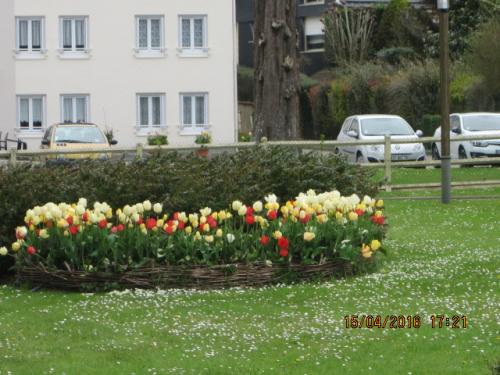 Ароматы, 11.04.2016 570.JPG