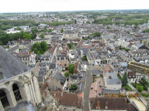 Ароматы 2 (2017) 1148.JPG