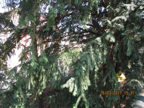 март, париж 182.JPG