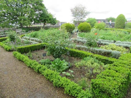 Ароматы 2 (2017) 406.JPG