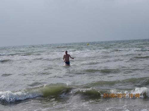 Нов. Ароматы 2 1178.JPG