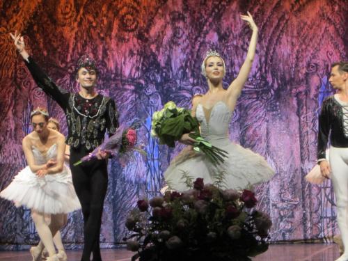 Лебединое озеро 225.JPG