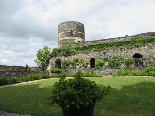 Ароматы 2 (2017) 356.JPG