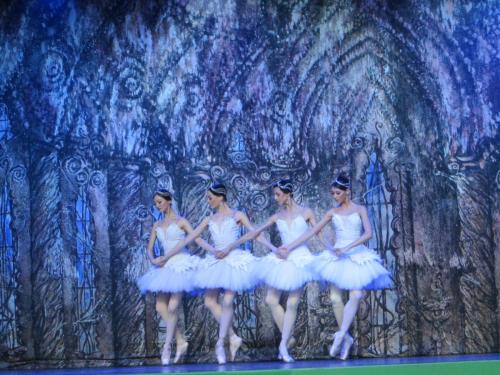 Лебединое озеро 069.JPG