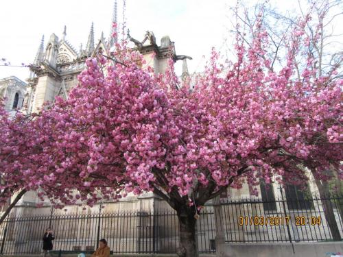 март, париж 2285.JPG