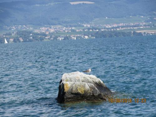 2GT 2016, 2 часть 1180.JPG