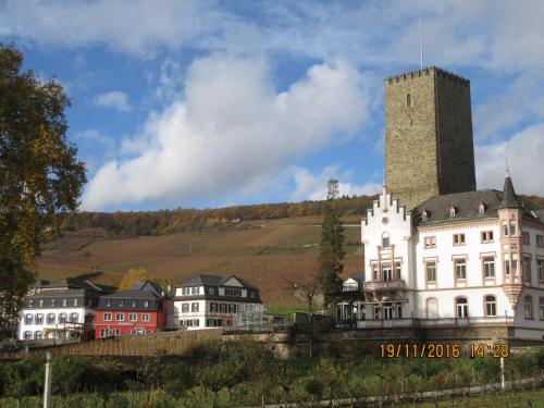 Божоле 2016 2283.JPG