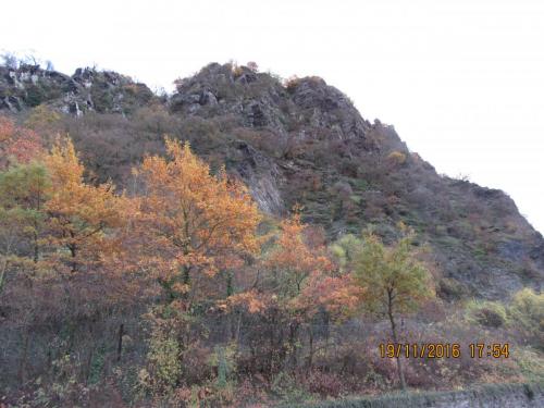 Божоле 2016 2352.JPG