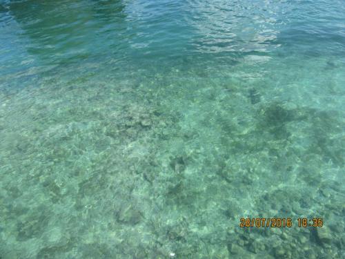 2GT 1 часть2016 035.JPG