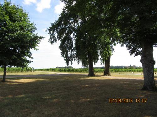 2GT 1 часть2016 1468.JPG