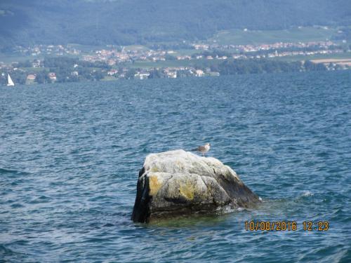 2GT 2016, 2 часть 1179.JPG