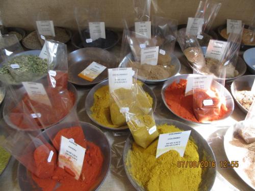 2GT 2016, 2 часть 240.JPG