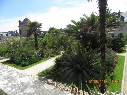 Нов. Ароматы 2 2207.JPG