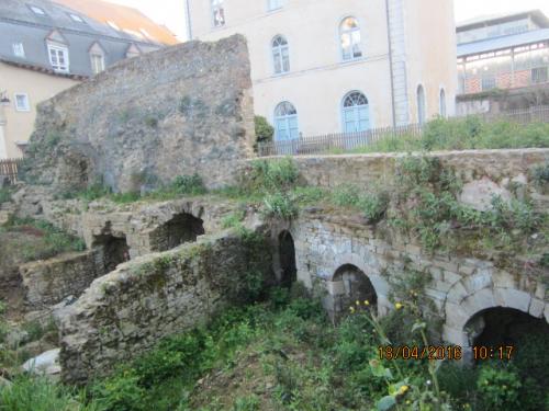 Ароматы, 11.04.2016 1236.JPG