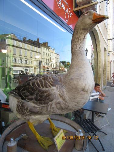 2GT 2016, 2 часть 056.JPG