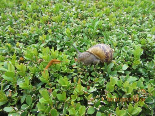 2 AS, 1 часть 1100.JPG